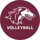 Saluki Volleyball