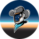 Sugar Land Space Cowboys