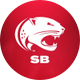 South Alabama Softball 🥎