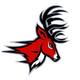 Fairfield Stags Puck