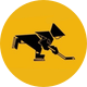 Saint Anthony’s Friars Hockey