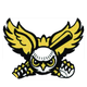 Statesville Owls
