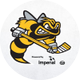 Sarnia Sting