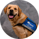 Barclay