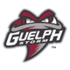 Guelph Storm