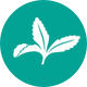 SweetLeaf®