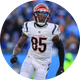 Tee Higgins⁵