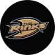 The Rinks