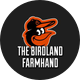 Orioles MiLB Updates