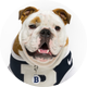 Butler Blue IV
