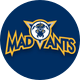 Mad Ants Basketball