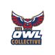 The Owl Collective