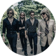 The Struts