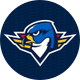 Springfield Thunderbirds