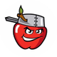 Fort Wayne TinCaps