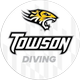 Towson University Diving