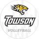 CAA Champs Towson Volleyball
