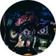 Trill Williams | 🧛🏾