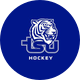Tennessee State Hockey