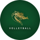 UAB Volleyball