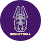 UAlbany Basketball