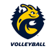 UCSC Women's Volleyball