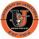 Jimmie Men's Hockey