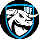 Ultimate Bullfighters