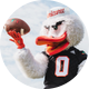 Sebastian The Ibis