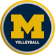 Michigan Volleyball