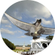 UNCW Admissions