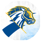 New Haven Chargers