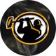 Pittsburgh Maulers