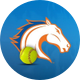 UT Arlington Softball
