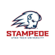 The Stampede