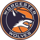 Worcester Wolves Basketball