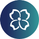 Virginia's Insurance Marketplace