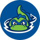 Vermont Lake Monsters