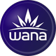 Wana Brands: North America’s Favorite Gummies