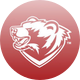 WashU Football