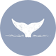 WHALE TALE WEDDINGS