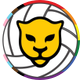 Wentworth Women’s Volleyball
