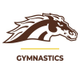 Western Michigan Gymnastics