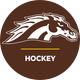 WMU Hockey