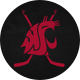 WSU Men’s Ice Hockey