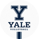 Yale Volleyball