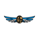 Aero Club General Alvear