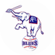Atlanta Blues Baseball Club