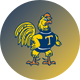 Trinity College Athletics
