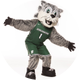 Baxter the Bearcat